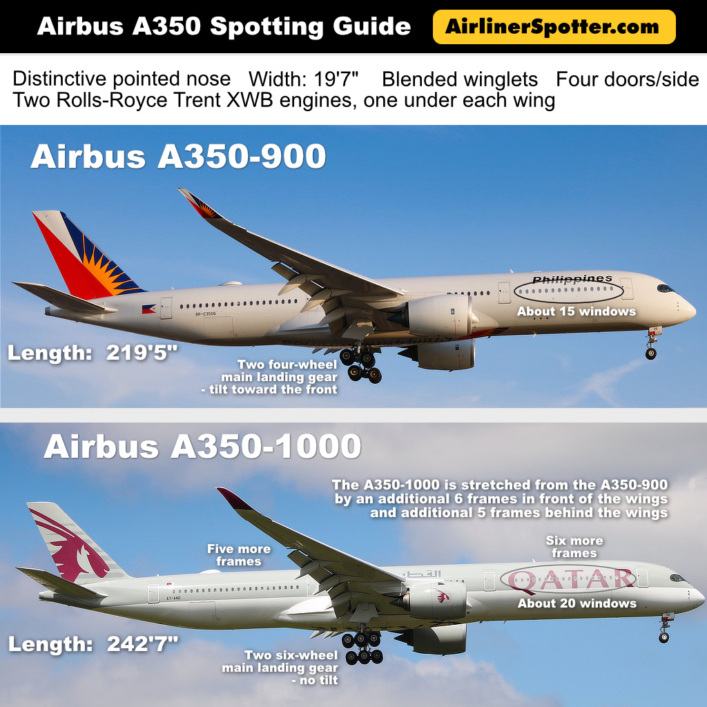 Airbus A350 spotting guide with the A350-900 and the A350-1000 side by side
