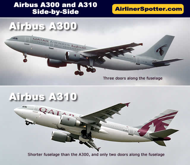 The chart below shows a side-by-side comparison of the Airbus A300 and A310