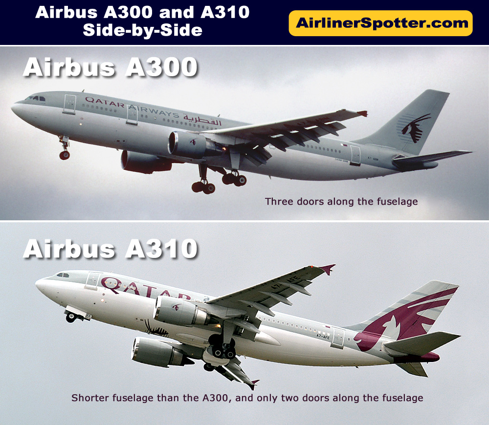 The chart below shows a side-by-side comparison of the Airbus A300 and A310