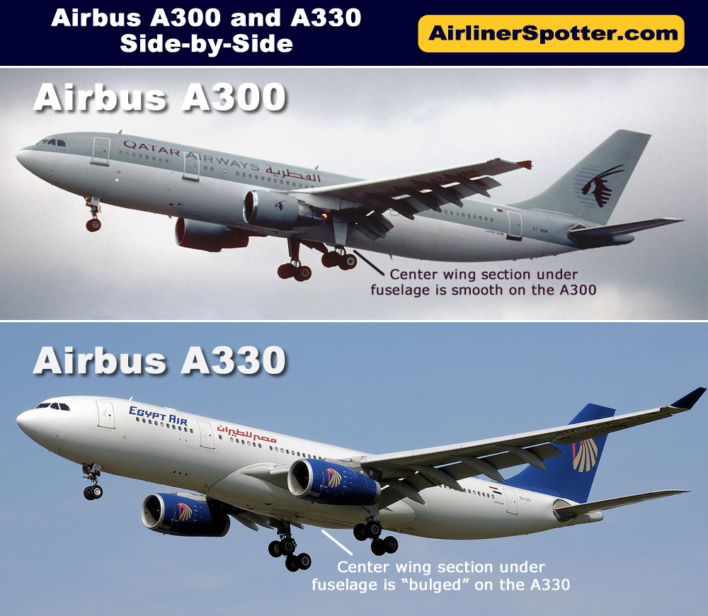 The chart below shows how similar the Airbus A300 and the A330 are in overall appearance. One significant difference is between the wings and under the fuselage. The A300 is smooth under the fuselage, whereas the A330 features a bulge in that area.