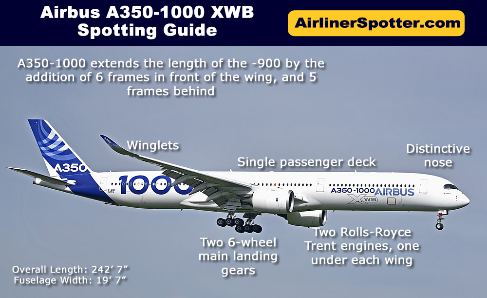 Airbus A350-1000 spotting highlights, including a twin-engine configuration, a single passenger deck, a distinctive nose and winglets, and two 6-wheel main landing gears