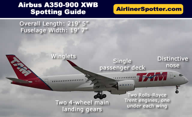 Airbus A350-900 spotting highlights, including a twin-engine configuration, a single passenger deck, a distinctive nose and winglets.