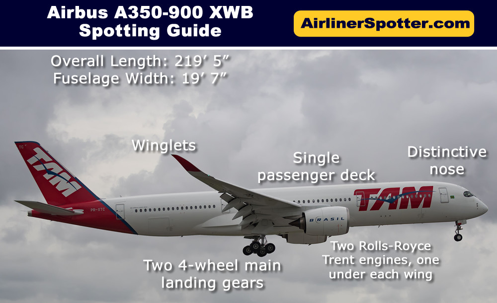 Airbus A350-900 spotting highlights, including a twin-engine configuration, a single passenger deck, a distinctive nose and winglets.