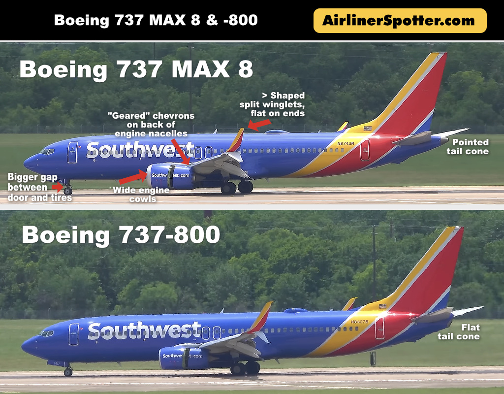 Boeing 737 MAX 8 and 737-800 Side-by-Side Comparison