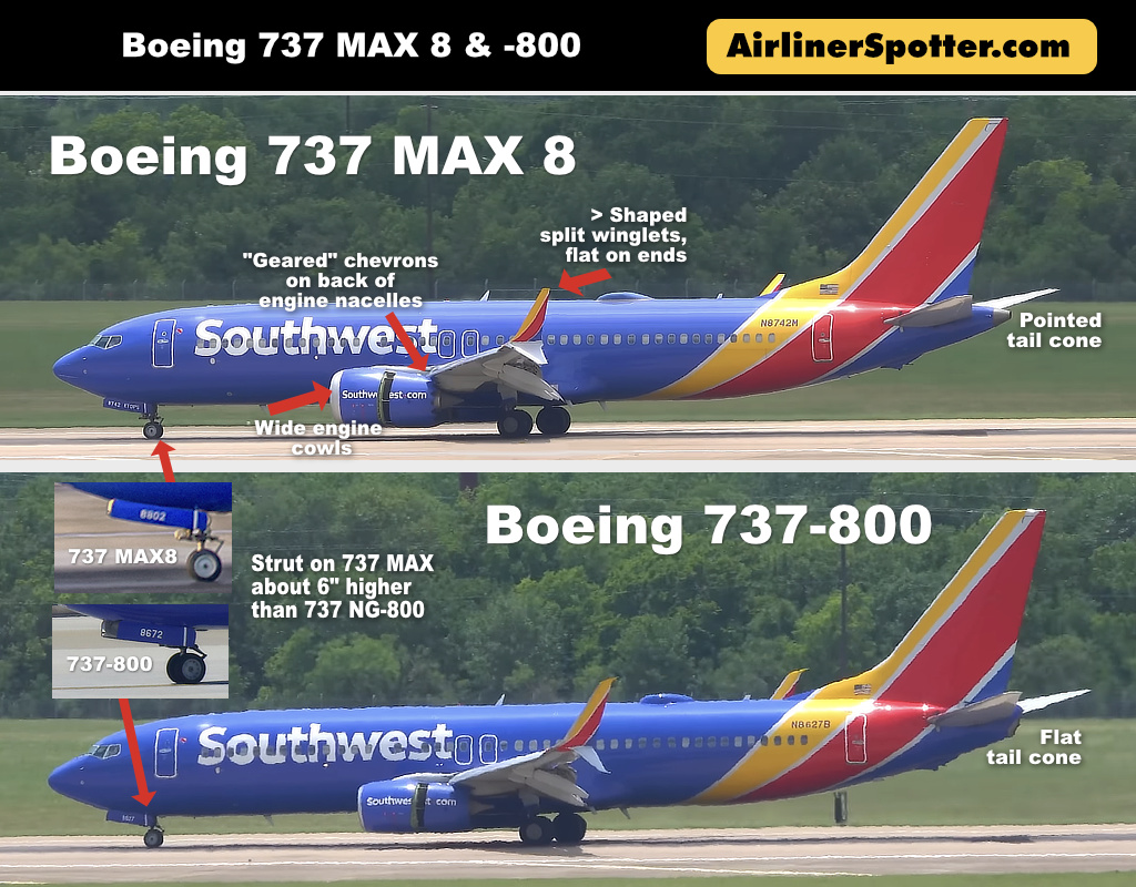 Boeing 737 MAX 8 and 737-800 Side-by-Side Comparison